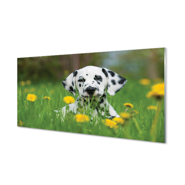 Tableau sur verre Chien de prairie