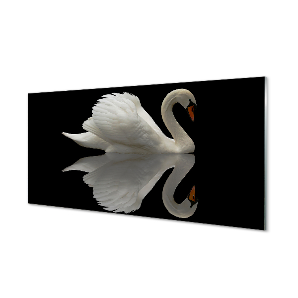 Tableau photo sur verre Swan dans la nuit