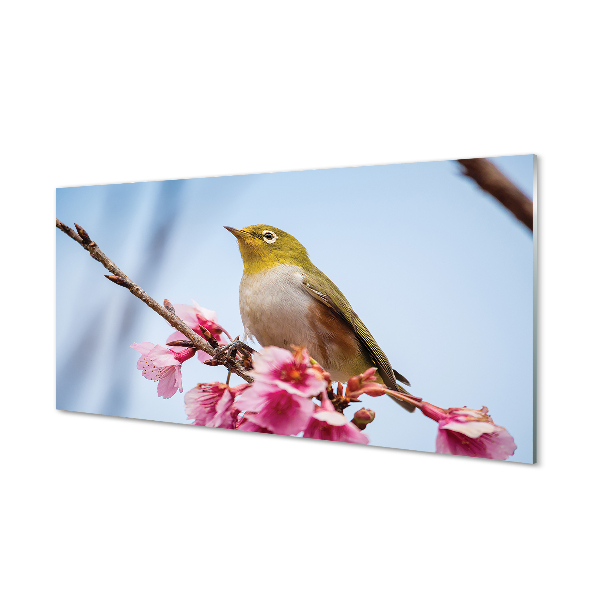 Tableau en verre Oiseau sur une branche