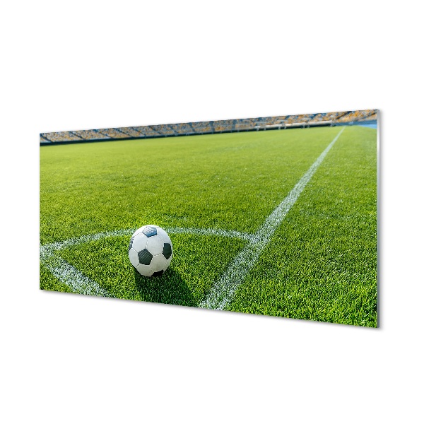 Tableau photo sur verre Football herbe stade