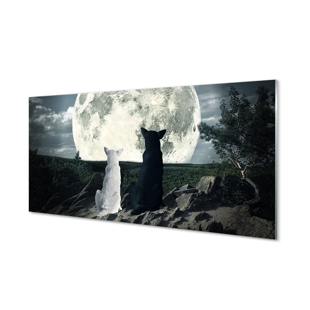 Tableau en verre Loups forêt lune