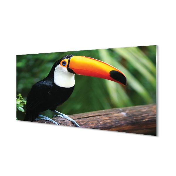 Tableau en verre Toucan sur une branche elágazik