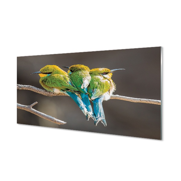 Tableau imprimé sur verre Les oiseaux sur une branche