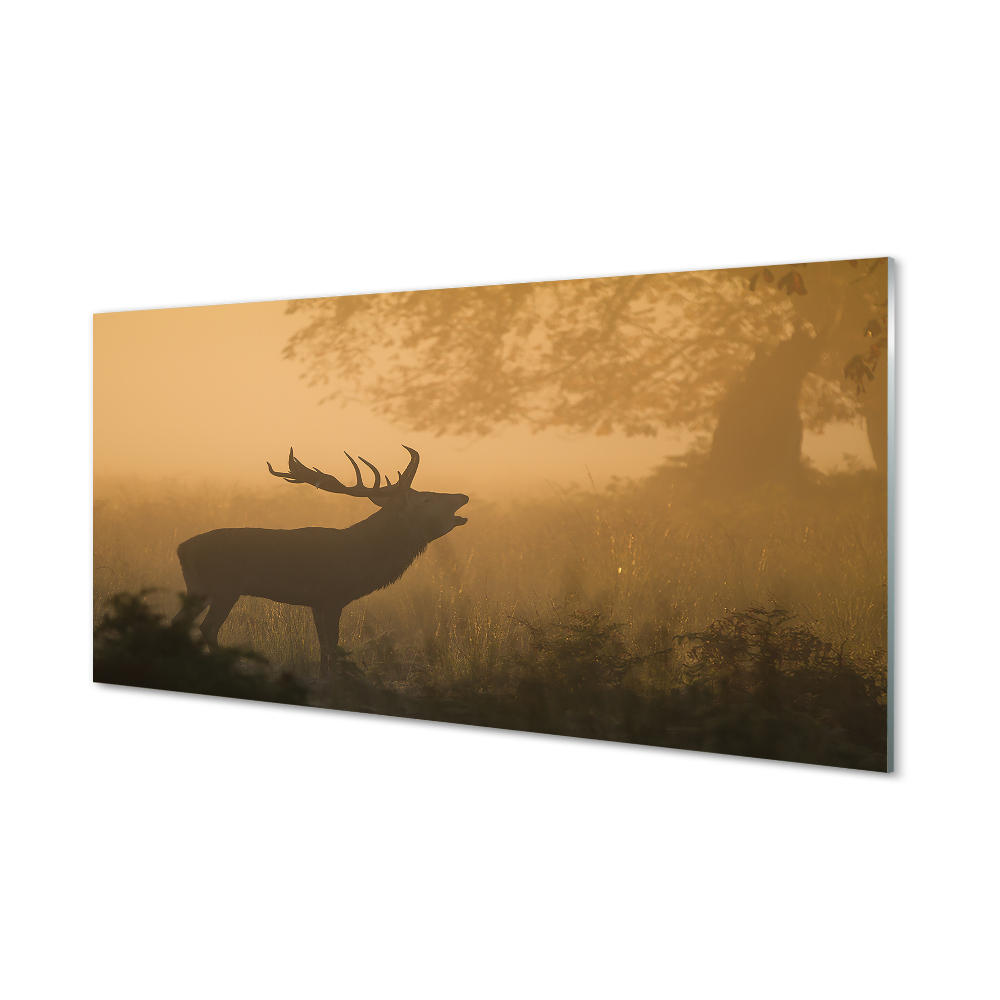 Tableau sur verre Le lever du soleil cerf