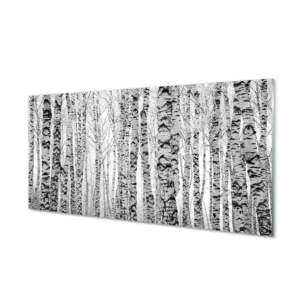 Tableau verre imprimé Bouleau noir et blanc