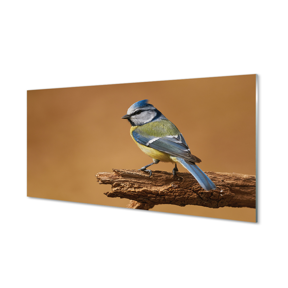 Tableau verre imprimé Oiseau