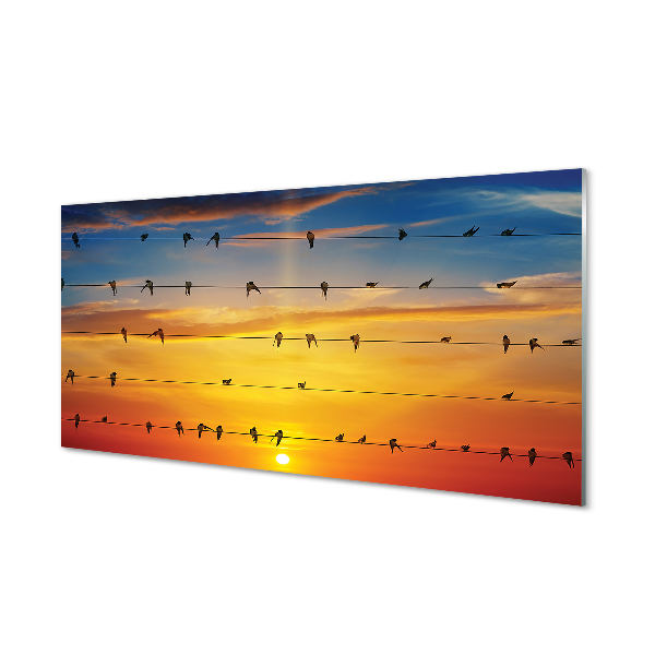 Tableau photo sur verre Oiseaux sur le coucher du soleil cordes