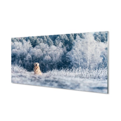 Tableau verre imprimé Chien de montagne d'hiver