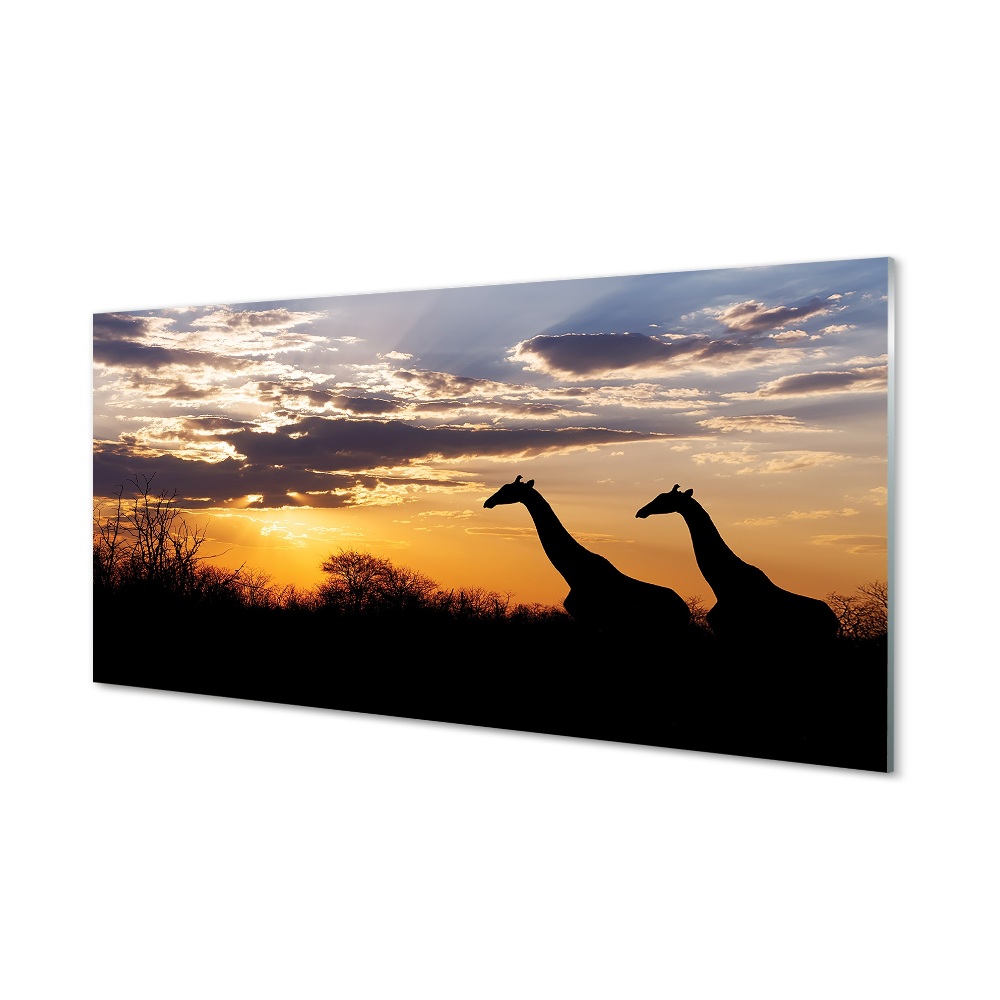 Tableau en verre Nuages arbre girafes