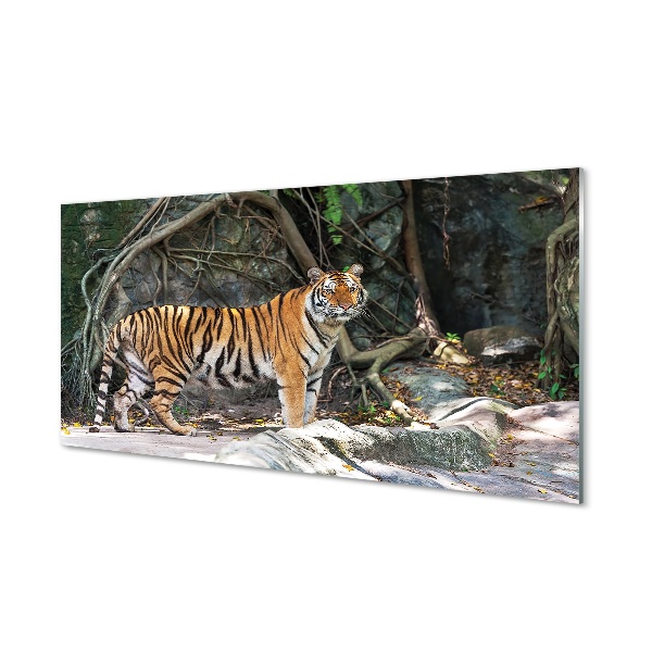 Tableau imprimé sur verre Jungle tigre