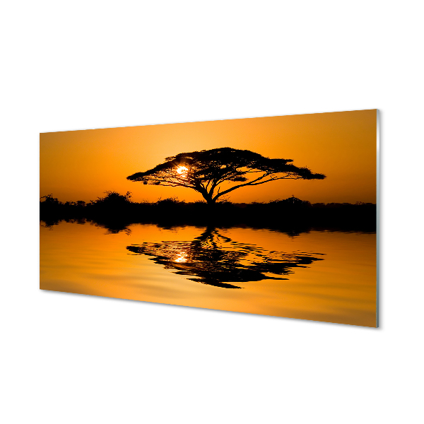 Tableau sur verre Arbre coucher du soleil