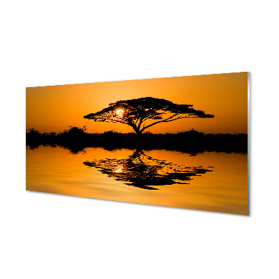 Tableau sur verre Arbre coucher du soleil