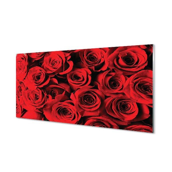 Tableau imprimé sur verre Des roses