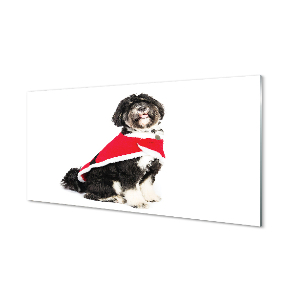 Tableau photo sur verre Chien