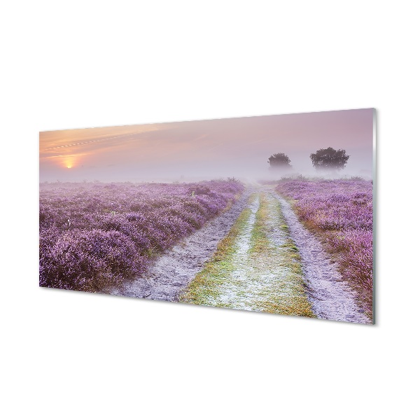 Tableau photo sur verre Bruyères sur le terrain