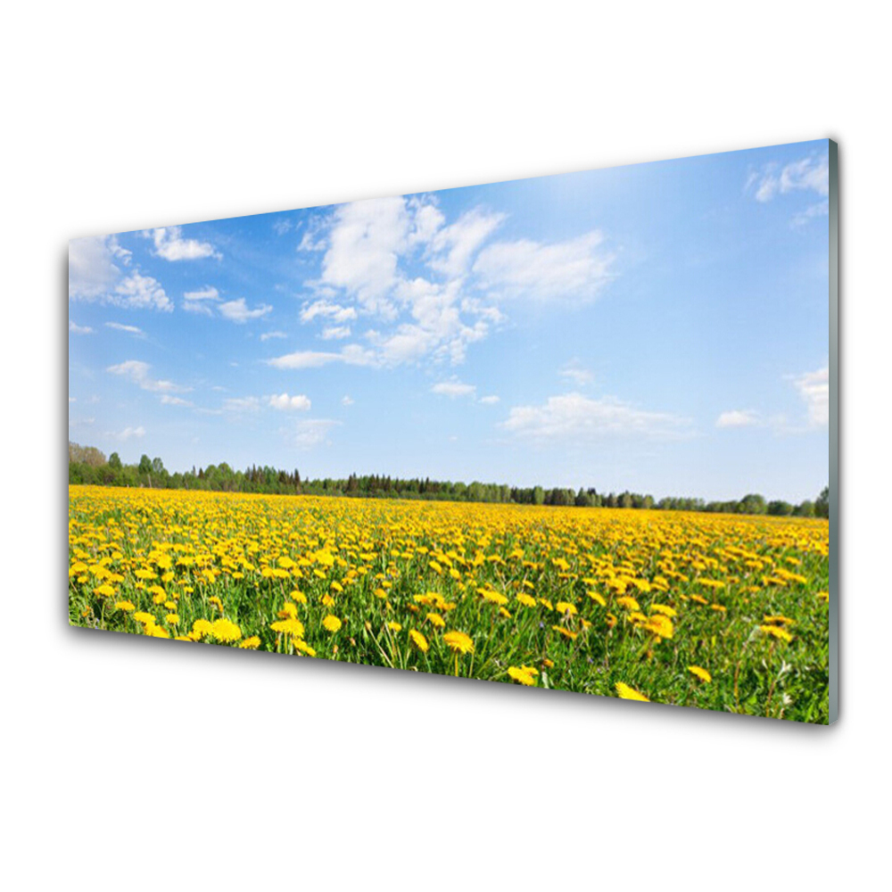 Tableau en verre Ciel de prairie