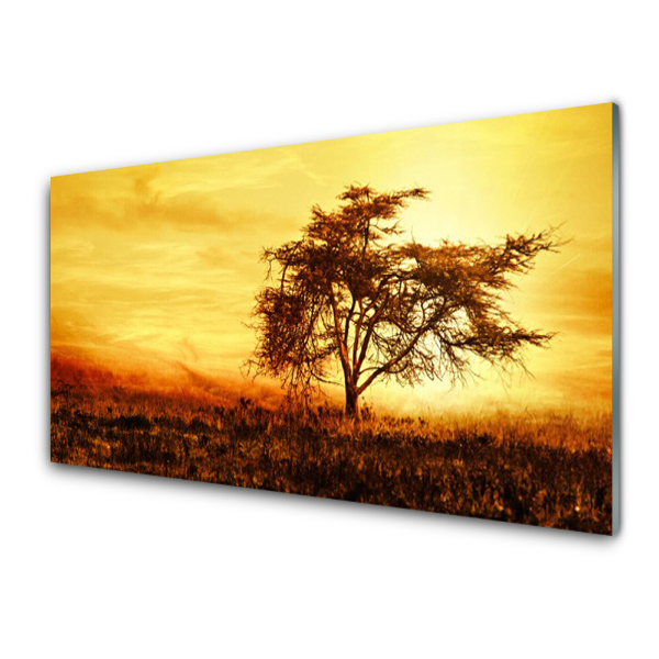 Tableau en verre Arbre Nature Coucher de soleil