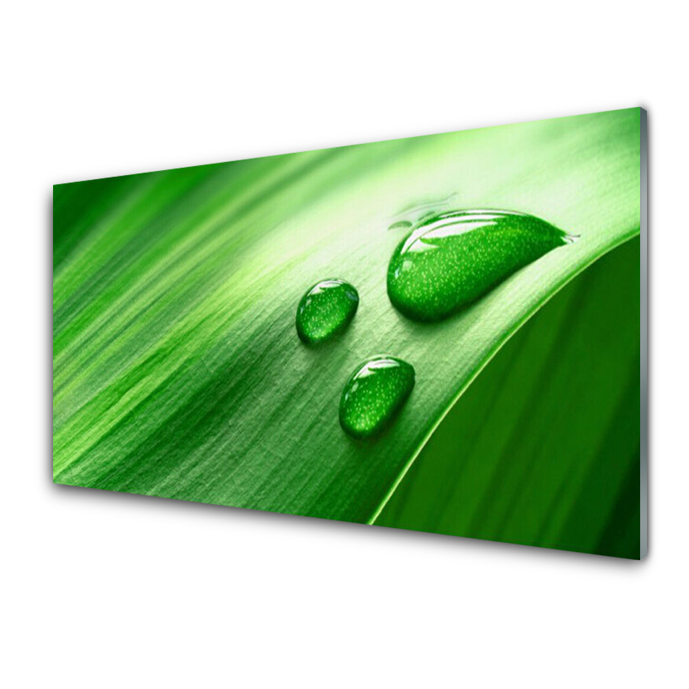 Tableau photo sur verre Feuille Rosa Dot