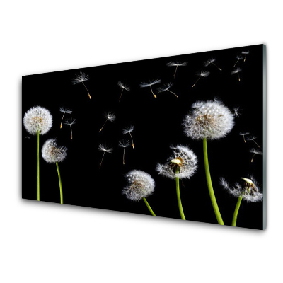 Tableau photo sur verre Gonflables