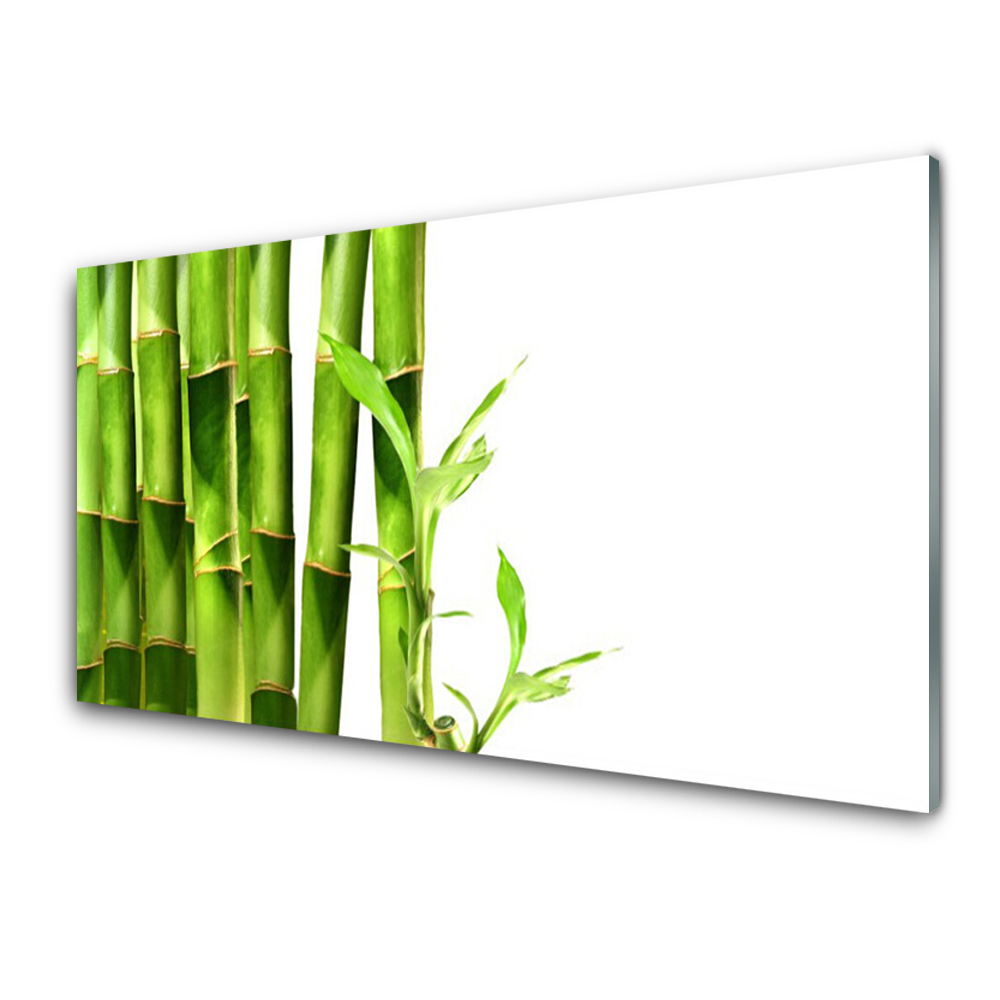 Tableau verre imprimé Plante de bambou