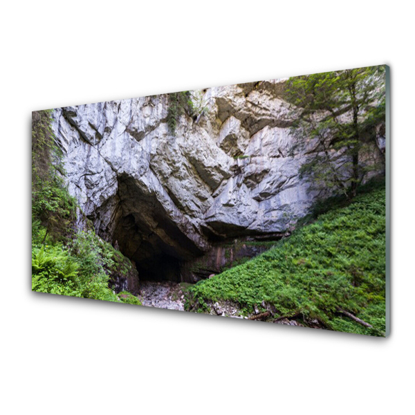 Tableau sur verre Plante de grotte de montagne