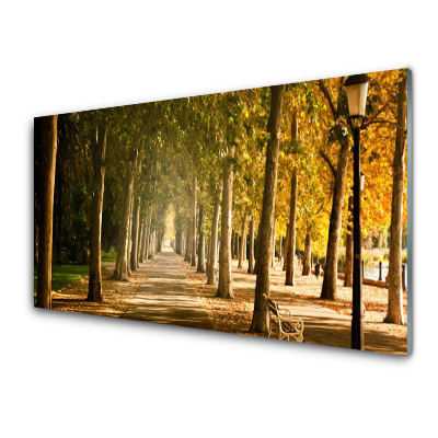 Tableau imprimé sur verre Park Avenue Autumn