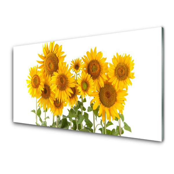 Tableau verre imprimé Tournesols Fleurs