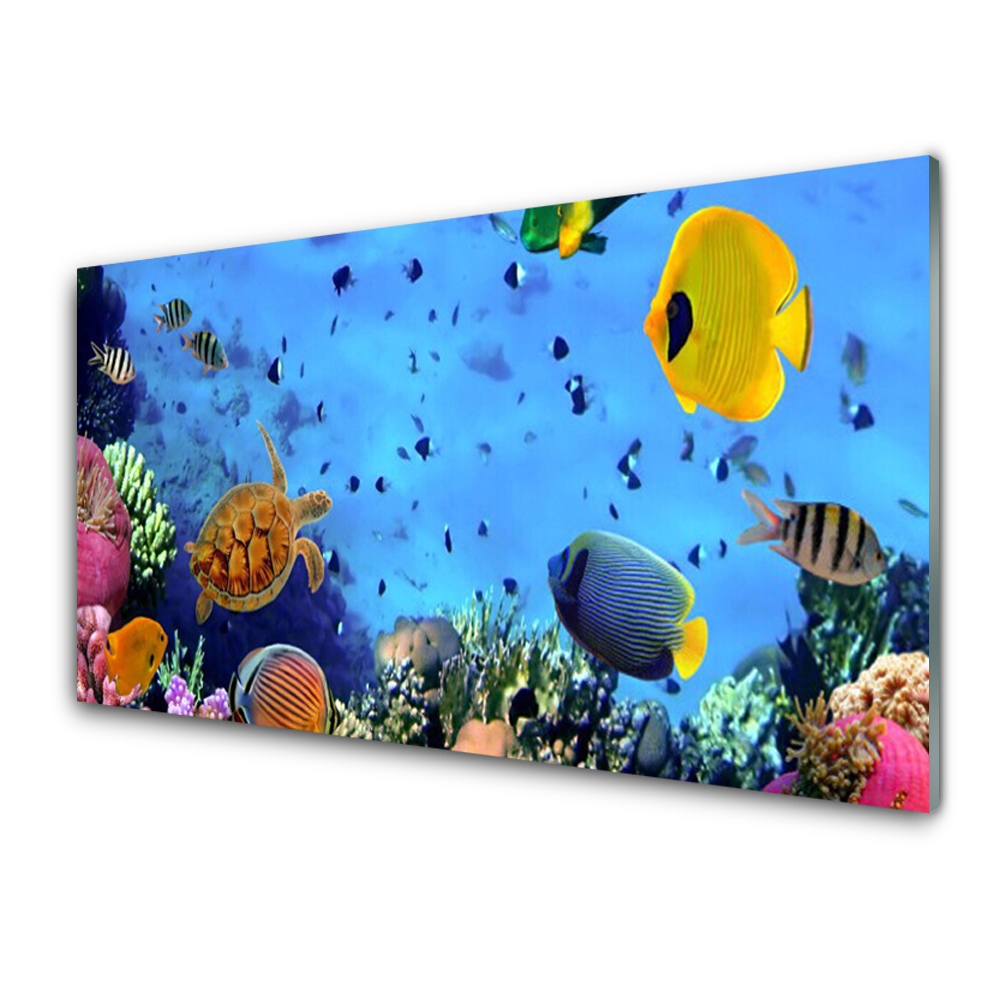 Tableau imprimé sur verre Poisson de l'océan Récif corallien