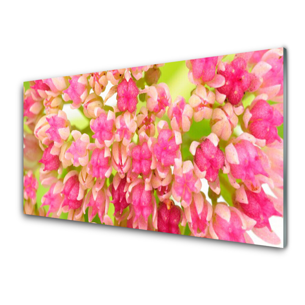 Tableau en verre Bourgeons de fleurs de lotus