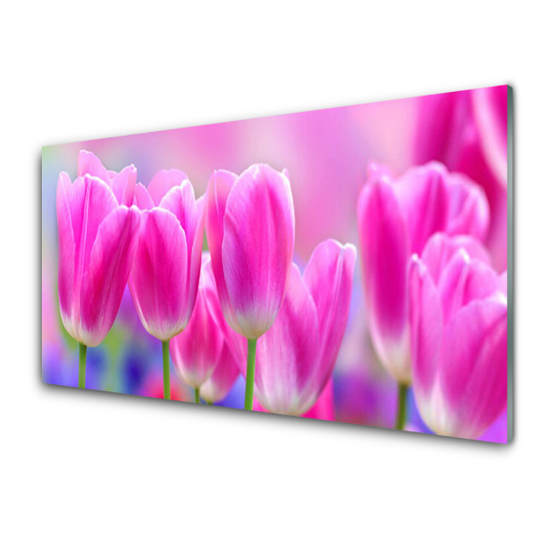 Tableau photo sur verre Tulipes roses