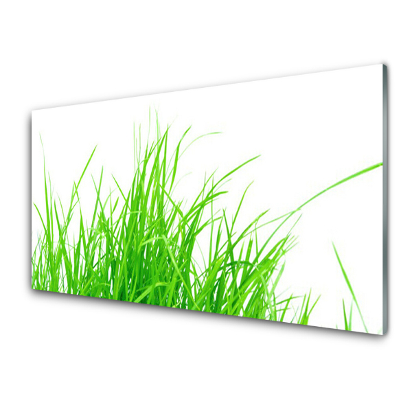 Tableau verre imprimé Plante d'herbe