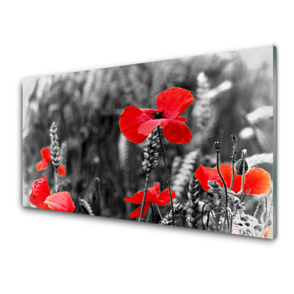 Tableau sur verre Fleurs coquelicots rouges