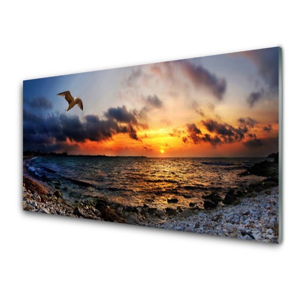 Tableau imprimé sur verre Mouette Mer Plage Panorama