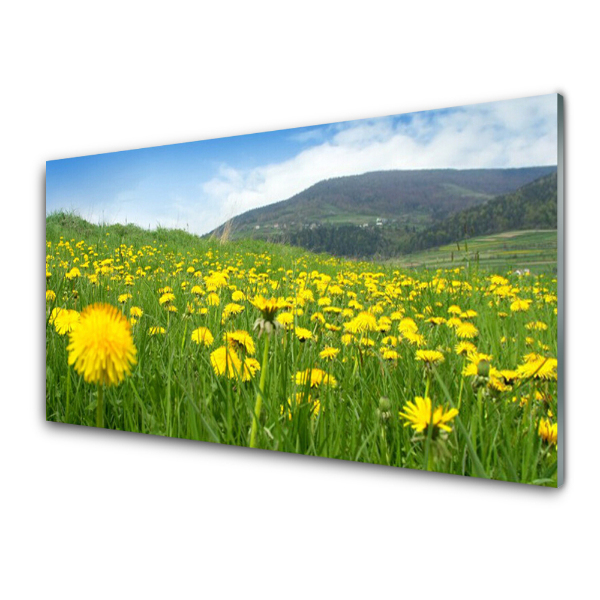 Tableau photo sur verre Montagnes Prairies Fleurs