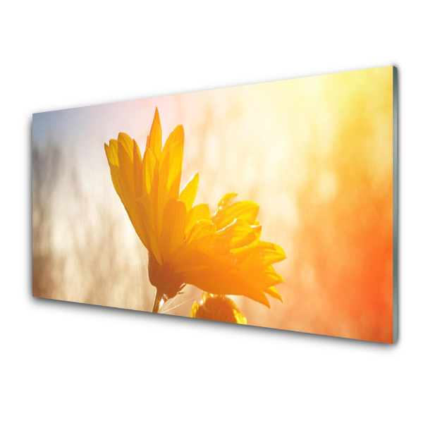 Tableau en verre Rayons de tournesol