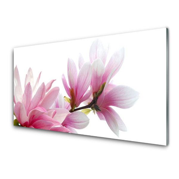 Tableau verre imprimé Fleur de magnolia