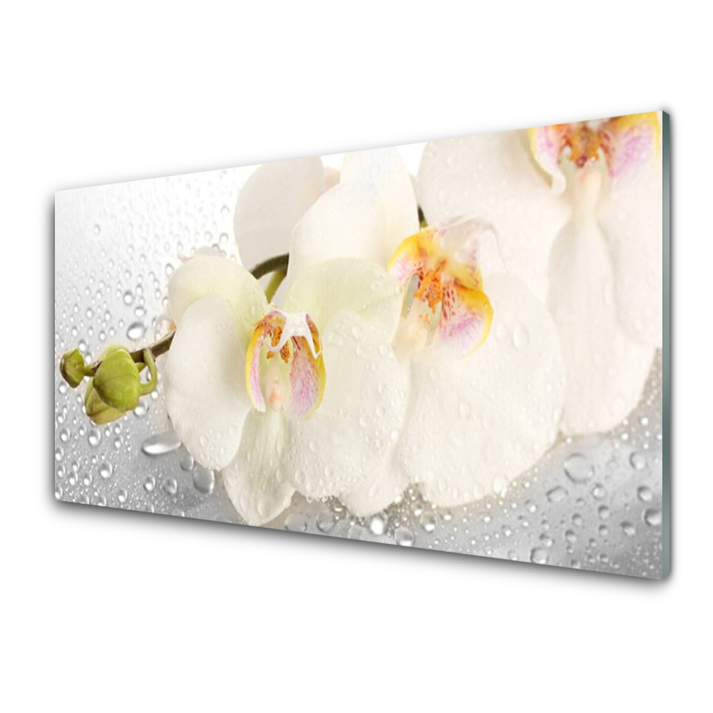 Tableau en verre Orchidées blanches Fleurs