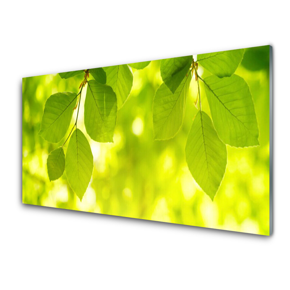 Tableau sur verre Feuilles vertes Plantes