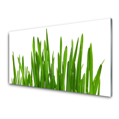 Tableau verre imprimé Herbe sur le mur