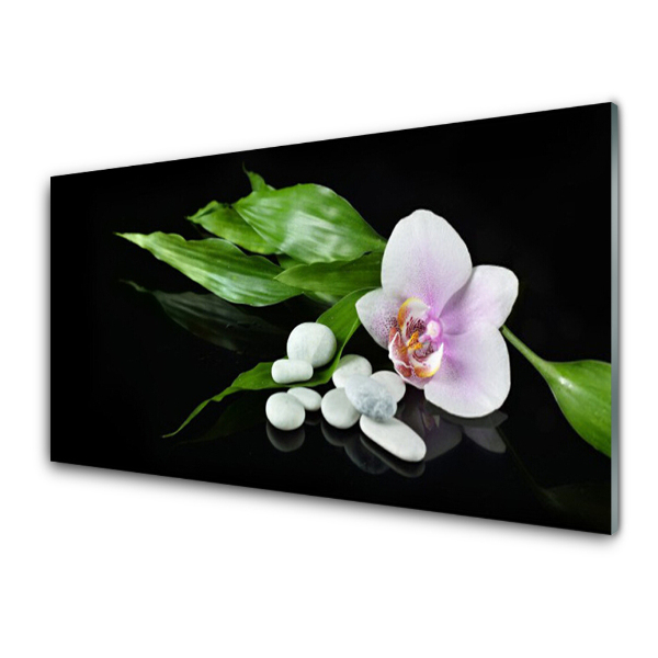 Tableau photo sur verre Pierres à fleurs Feuilles