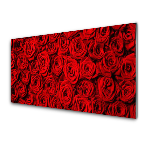 Tableau verre imprimé Fleur de roses rouges