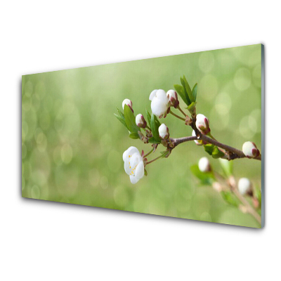 Tableau en verre Bourgeons de fleurs