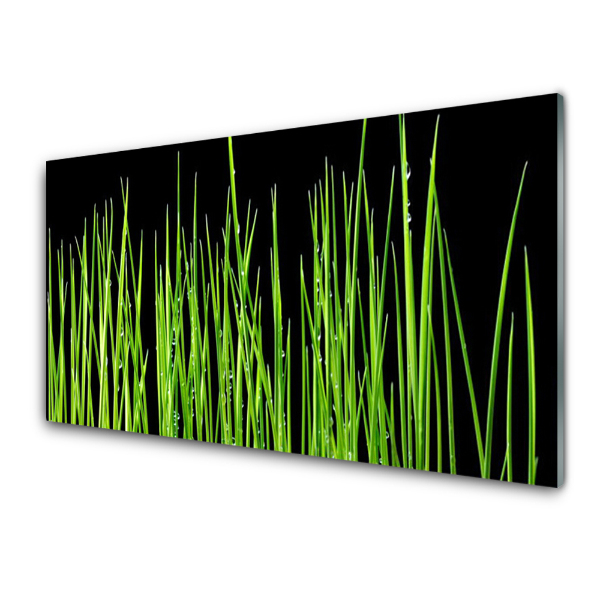 Tableau sur verre Plante d'herbe