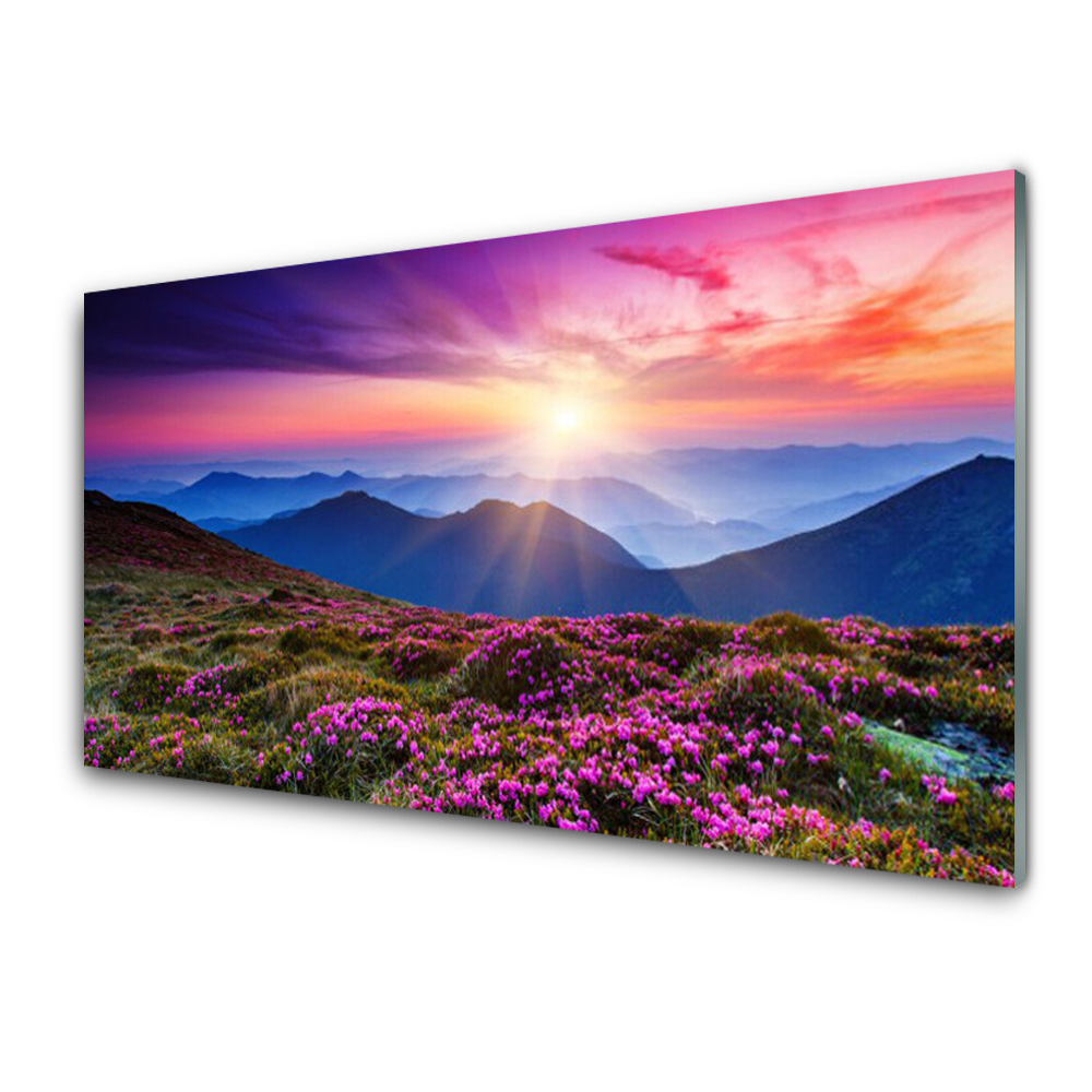 Tableau imprimé sur verre Panorama de fleurs de clairière de montagne