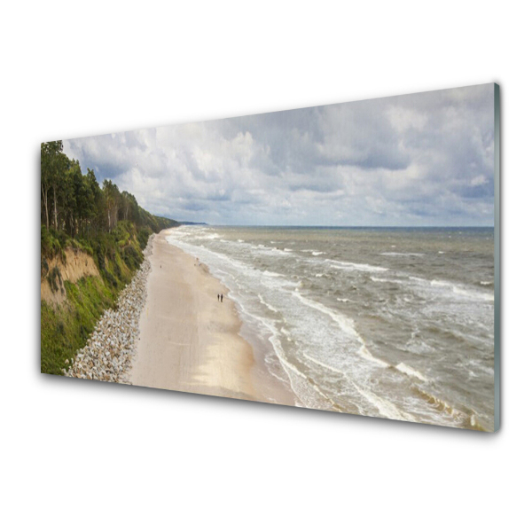 Tableau sur verre Plage Océan Forêt