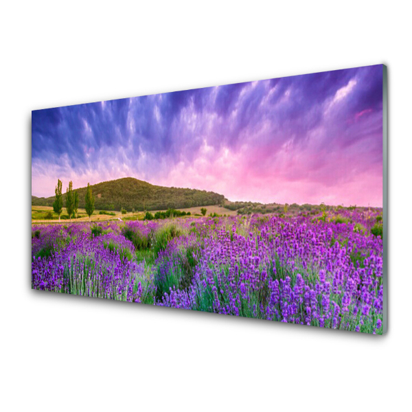 Tableau photo sur verre Fleurs de prairie Panorama de montagne