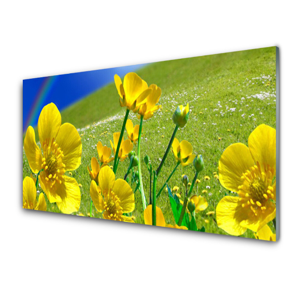 Tableau en verre Prairie Fleurs Plantes