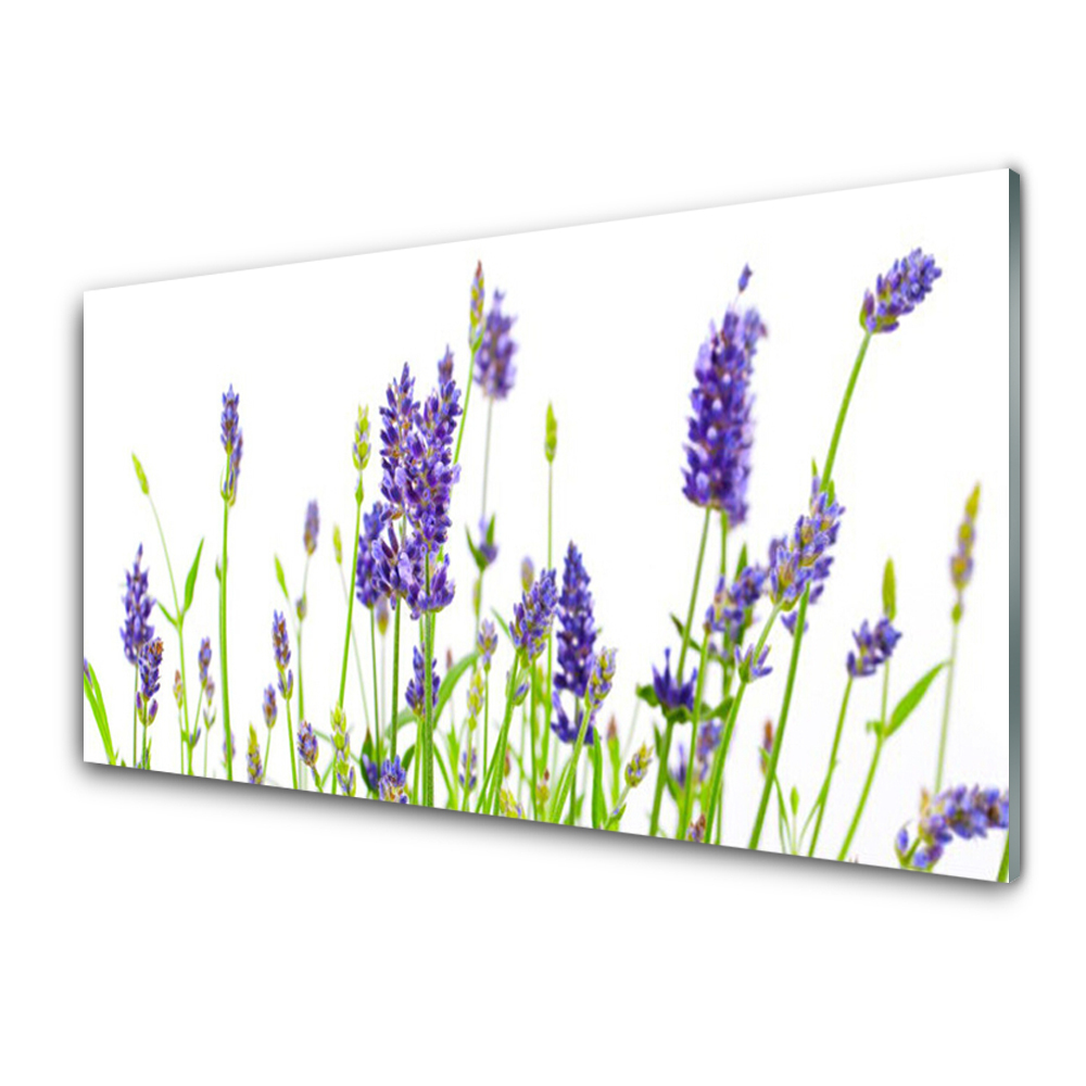 Tableau verre imprimé Lavande