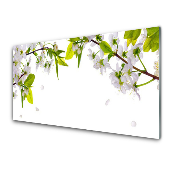 Tableau photo sur verre Pétales blancs Fleurs