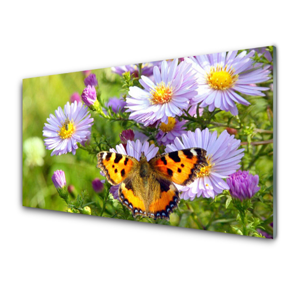 Tableau imprimé sur verre Fleurs Papillon Nature